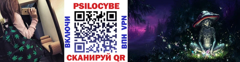 Галлюциногенные грибы Psilocybine cubensis  Кировск 
