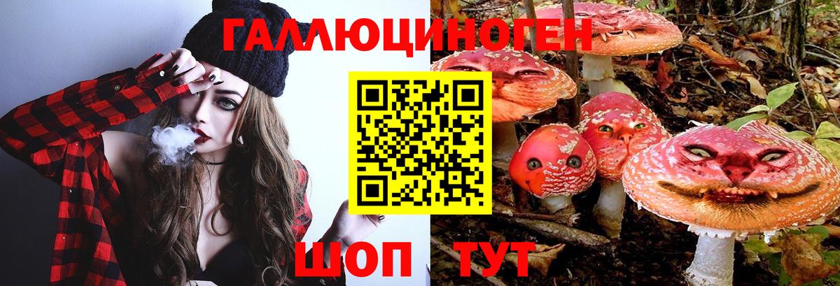 Галлюциногенные грибы Psilocybine cubensis Кировск